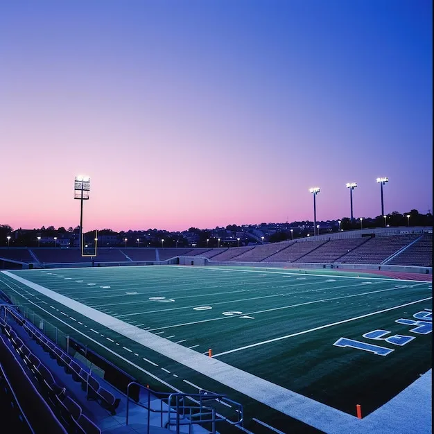 高清体育直播体验